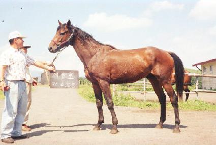 �帲��õ ����