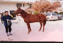 �������� (SAETBIT NARA) ����