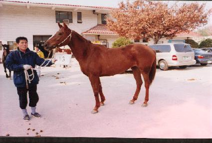 �������� ����