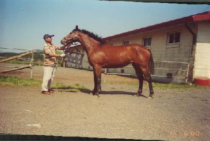 �Ѵ��� ����