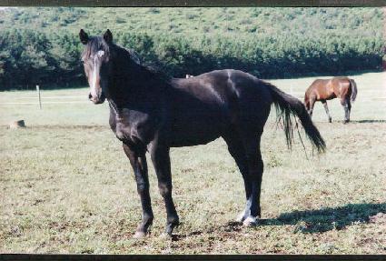 ���п� ����