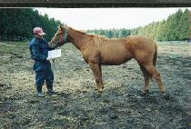 ��ô (GEONCHEOK) ����