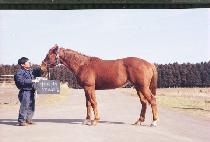 �������� (CHIEO CHISEON) ����