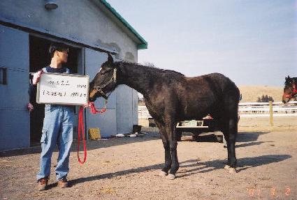 ������� ����