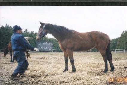 ����Ÿ�� ����