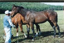 ���Ͽ� (WIHAYEO) ����