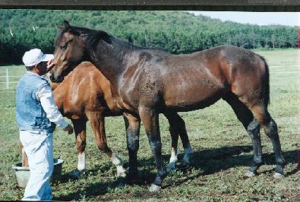 ���Ͽ� ����