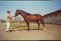 ���� (KURYONG) ����