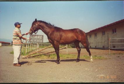 ���� ����