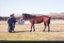 �߸� (PALMANG) ����