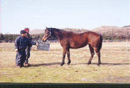 �߸� ����