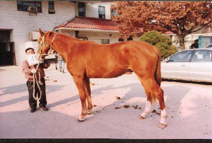 ���� ����