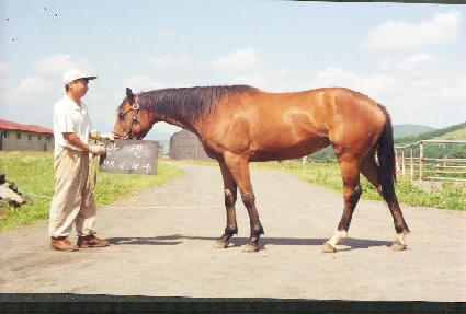 �����ǵ� ����