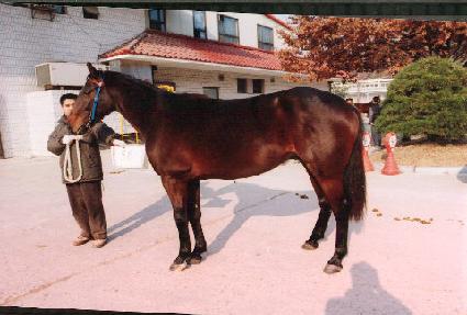 õ���ϸ� ����