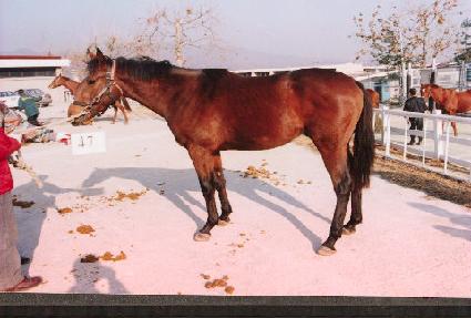 ���Ǽ��� ����