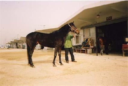 �׺���̼� ����