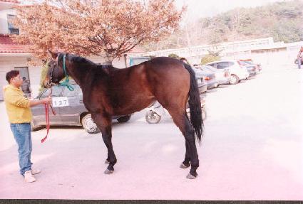 ��Ű�� ����