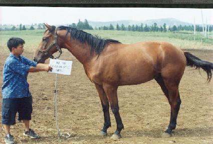 �׷��׷� ����