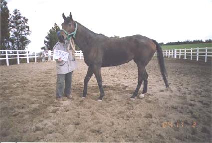 ��õ���� ����