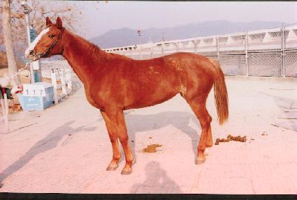 �̸� ����