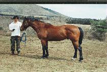 ����� (EUTTEUMWANG) ����