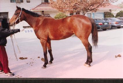 �ݿ� ����