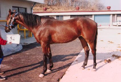 �ູ�� ����