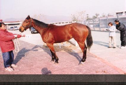 ������ ����