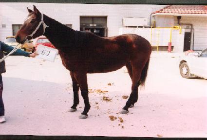 Ÿ���� ����