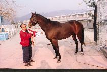 �ο� (BUWOL) ����