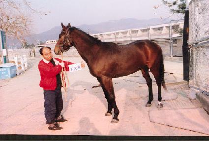 �ο� ����