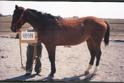 ��Ű���� ����