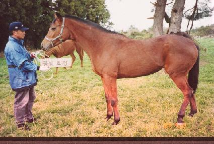 ���ǿ��� ����