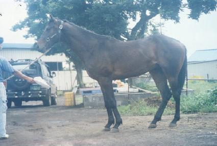 ī�Ѹ��� ����