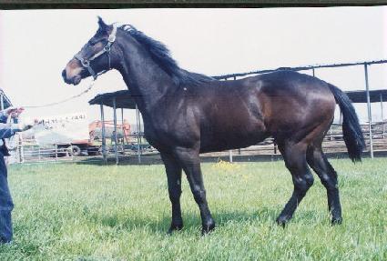 ���ۼ��� ����