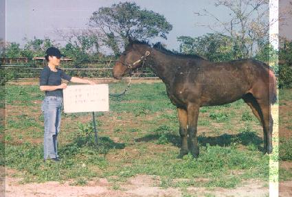 �ε巯�� ����