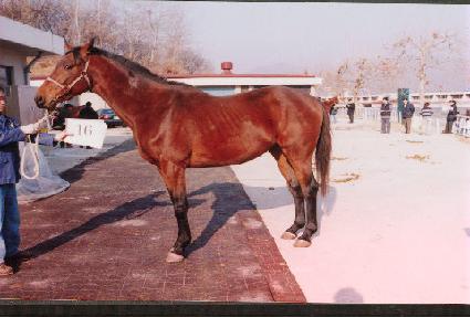 �̸��������ڸ� ����