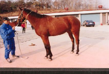 ������ ����