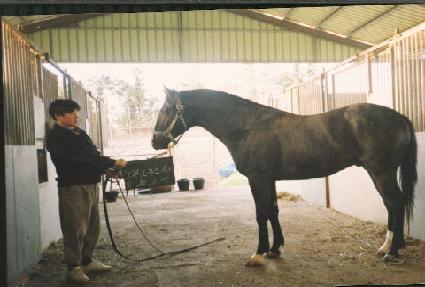 �ص����� ����