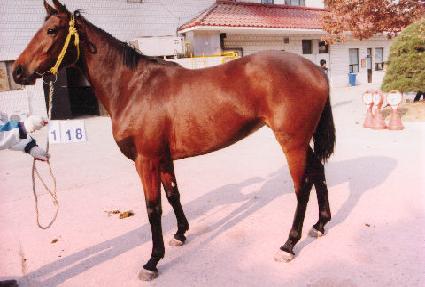 �ο� ����