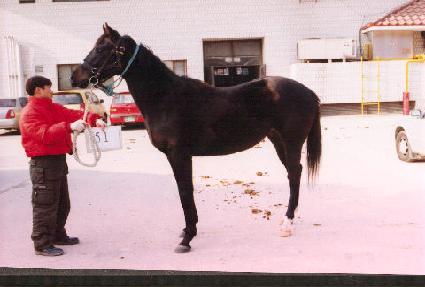 �帲�� ����