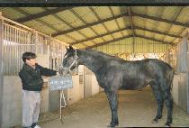 ����ǳ (TAEJILP��UNG) ����