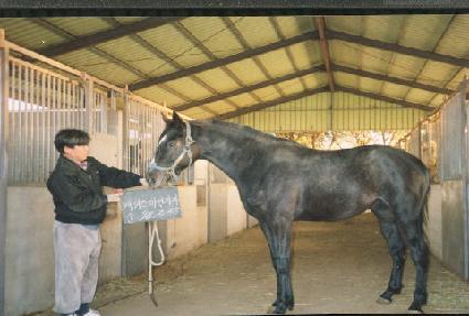 ����ǳ ����