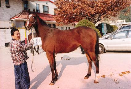 Ʈ���ÿ��� ����