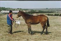 ���ɱ� (JEOMNYEONGGUN) ����