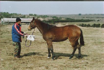 ���ɱ� ����