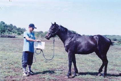 ��ũ�뽺 ����