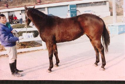 ������ ����