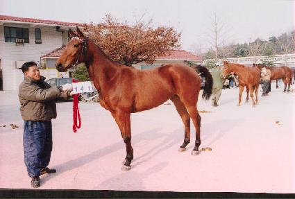 ����� ����