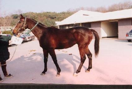 ������ ����